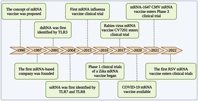 Frontiers | MRNA Vaccines: A Novel Weapon To Control Infectious Diseases